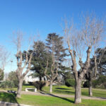 Plaza Principal de Baigorrita Baigorrita, Provincia de Buenos Aires, Argentina